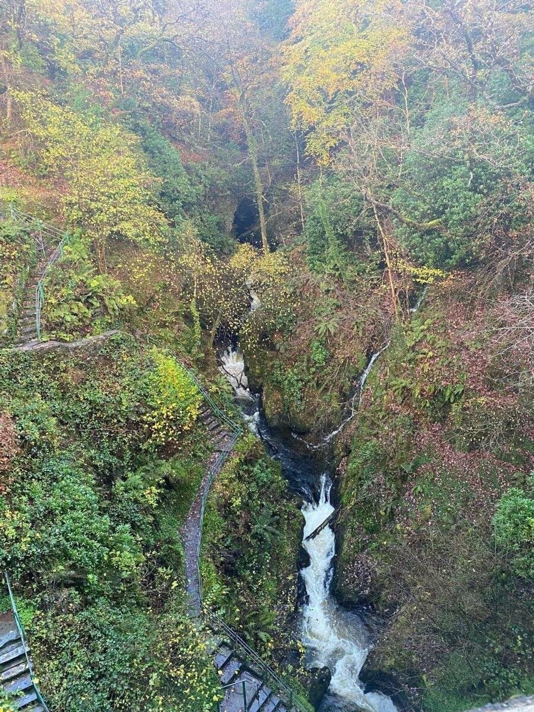 Brynowen Holiday Park - Holiday Accommodation 11787