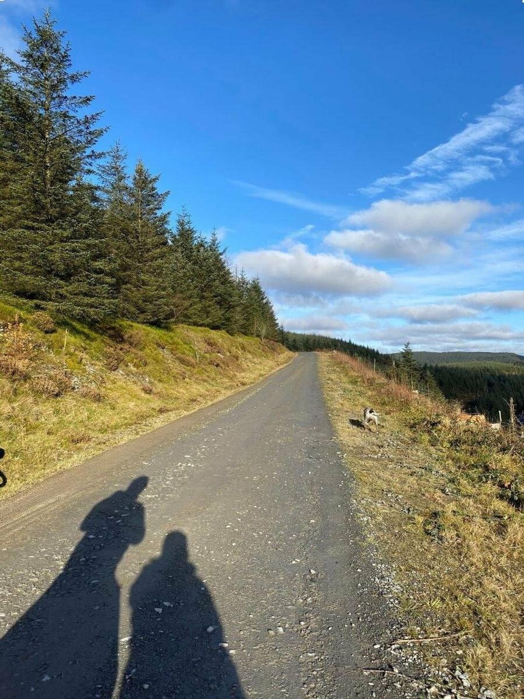 Brynowen Holiday Park - Holiday Accommodation 11787