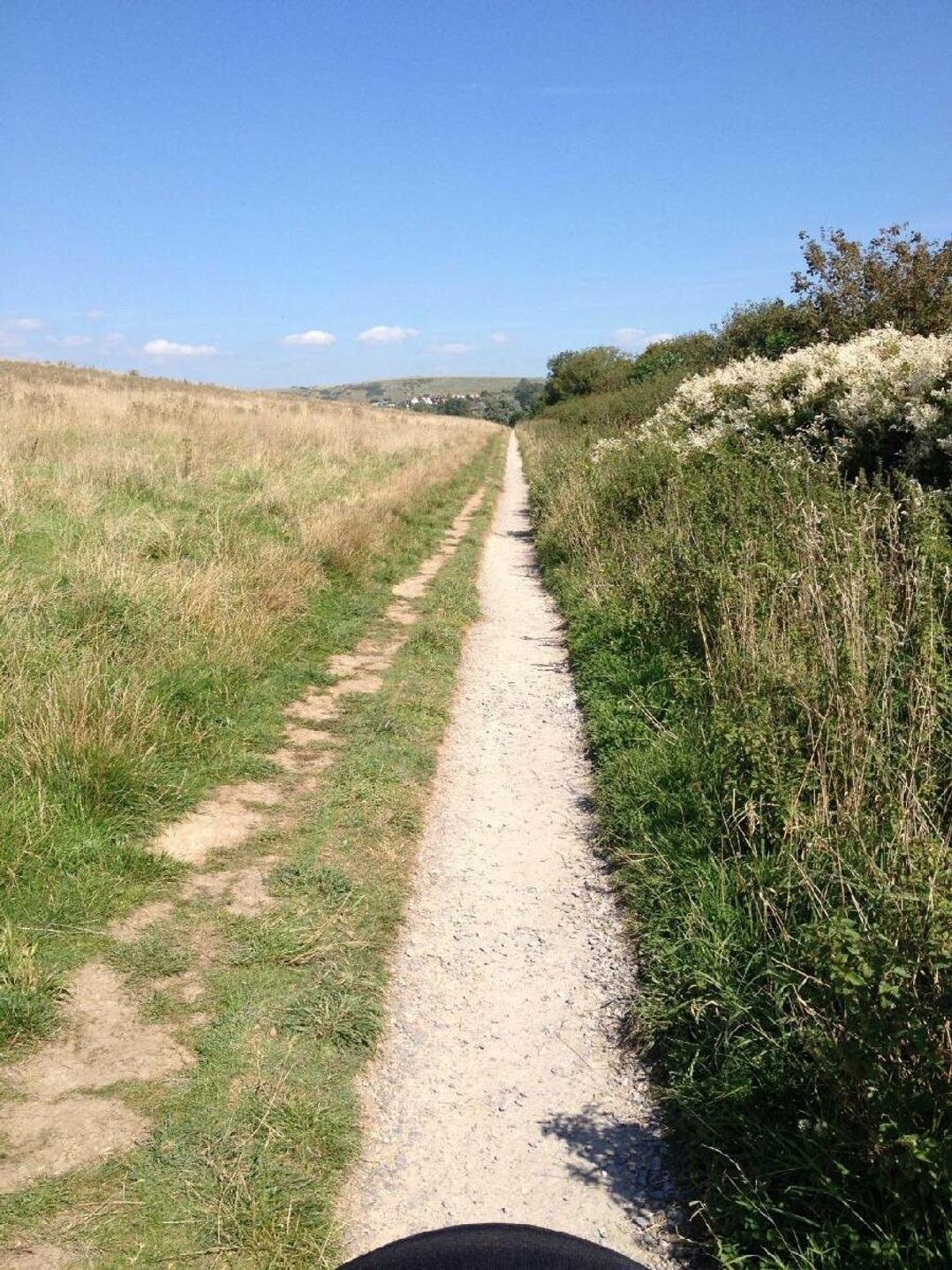 Weymouth Bay Holiday Park - Holiday Accommodation 11875