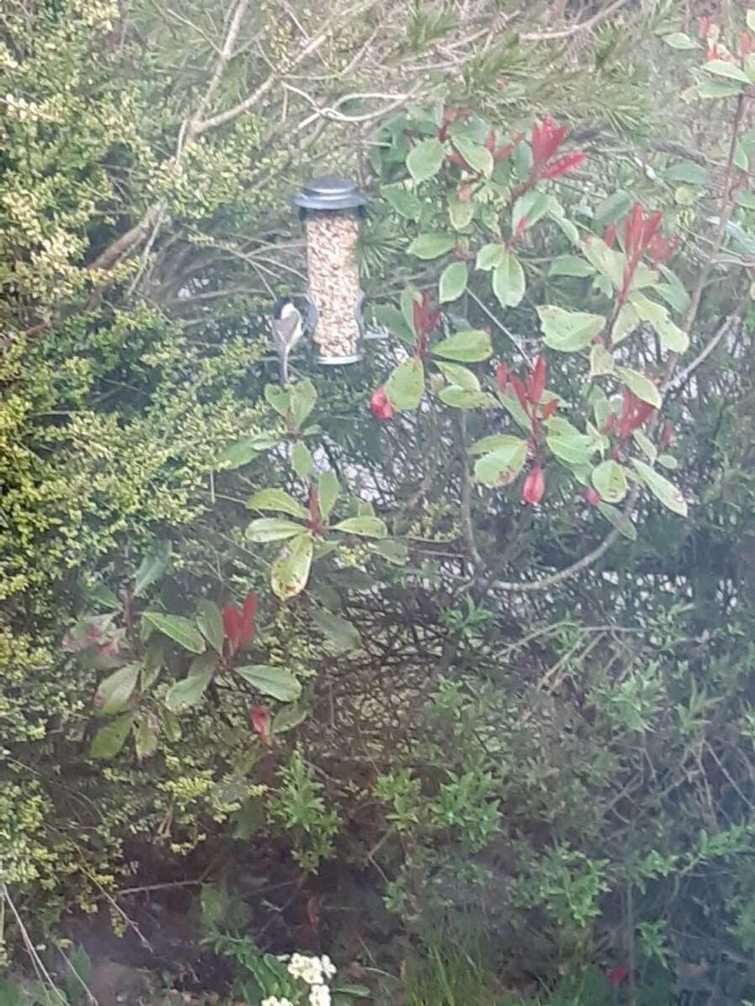 New Park Landshipping - Holiday Accommodation 12045