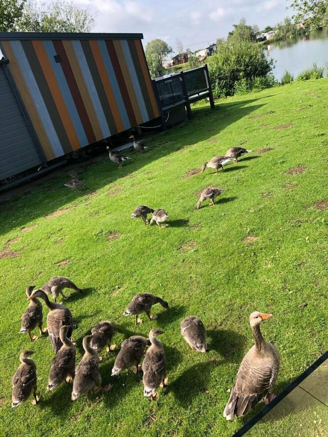 Tattershall Lakes Country Park - Holiday Accommodation 12062