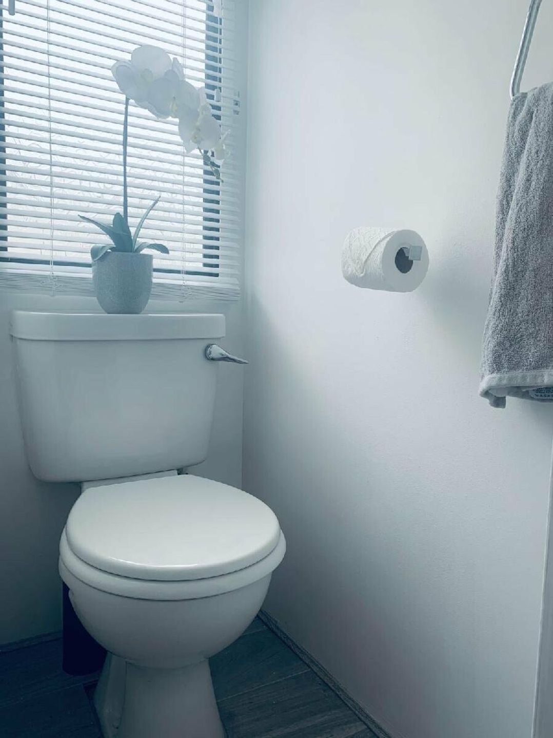 Hopton Holiday Village - Holiday Accommodation 12171