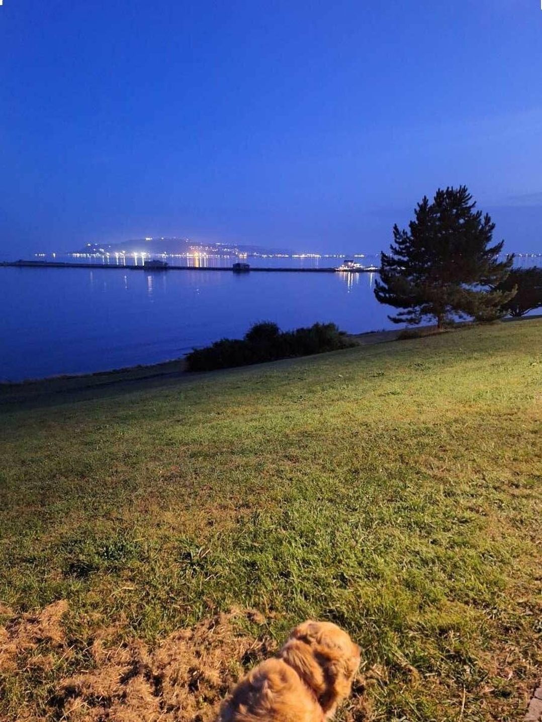 Littlesea Holiday Park - Holiday Accommodation 12436