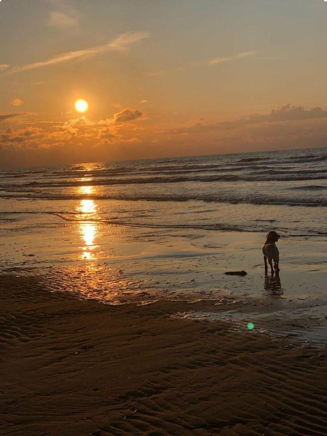 Pinewoods Holiday Park - Holiday Accommodation 12627