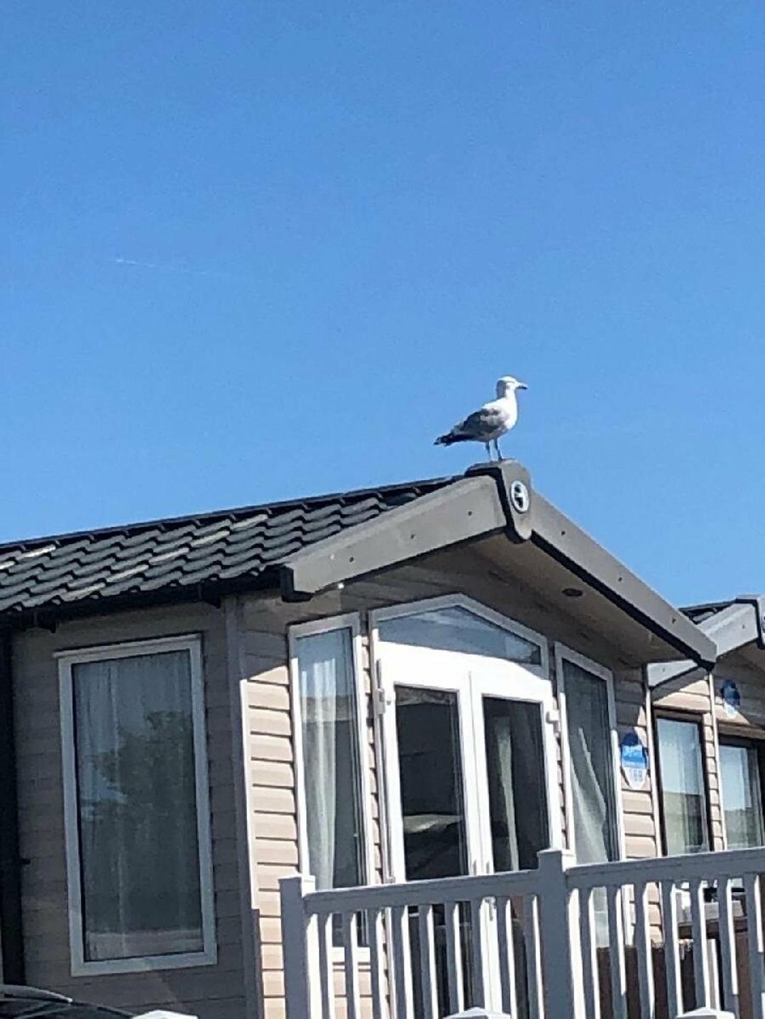 Devon Cliffs Holiday Park - Holiday Accommodation 12845