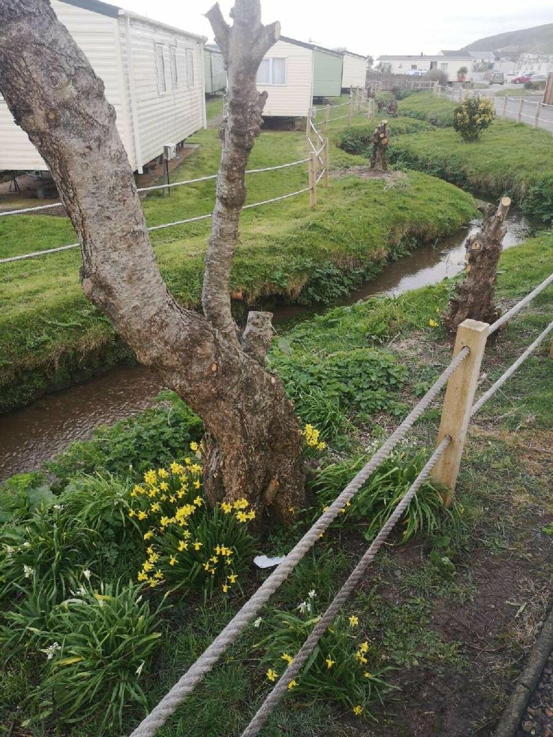 Challaborough Bay Holiday Park - Holiday Accommodation 12878