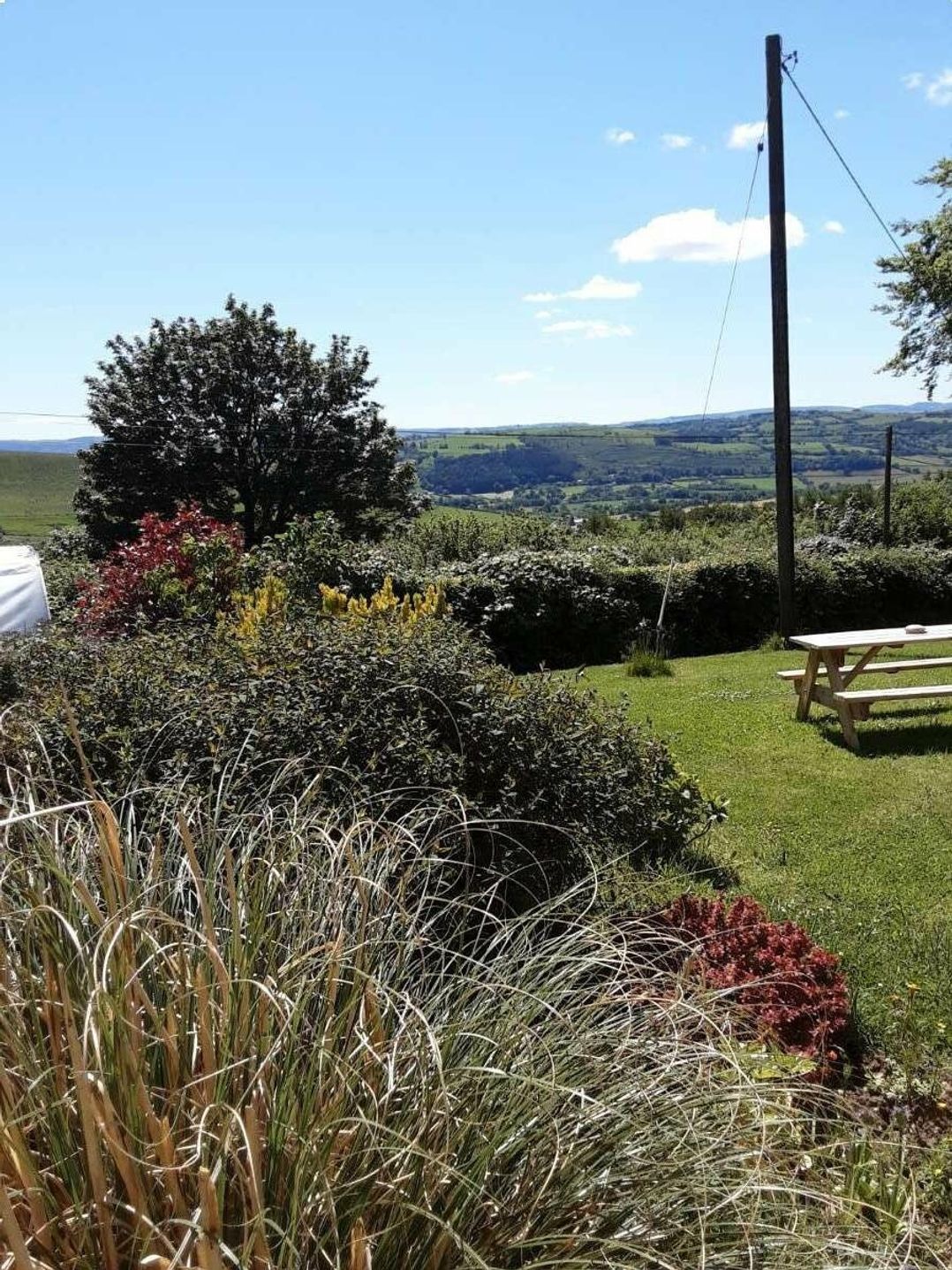 Gwarallt Bungalow - Holiday Accommodation 12891