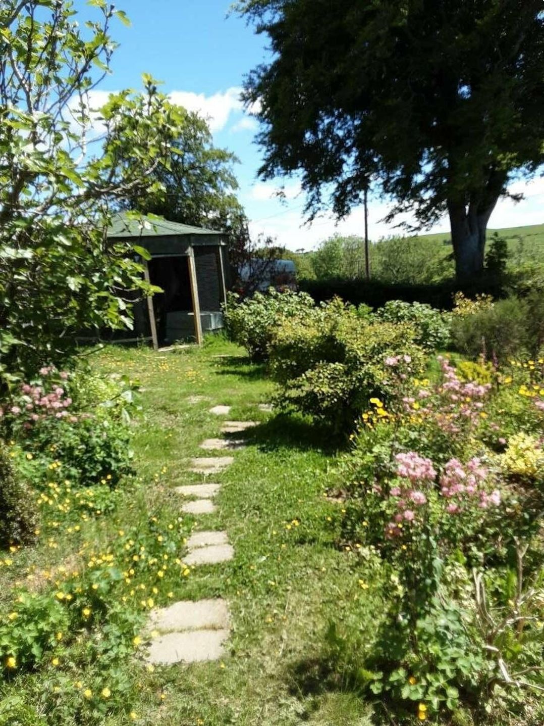 Gwarallt Bungalow - Holiday Accommodation 12891