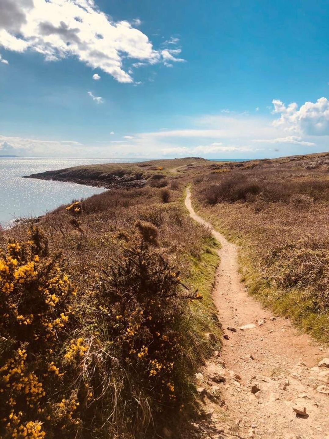 Hafan y Mor Haven - Holiday Accommodation 13392