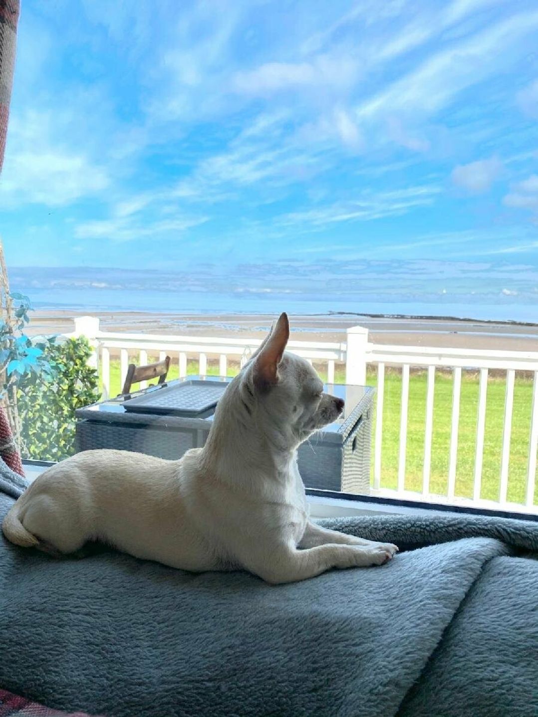 Craig Tara Holiday Park - Holiday Accommodation 14320