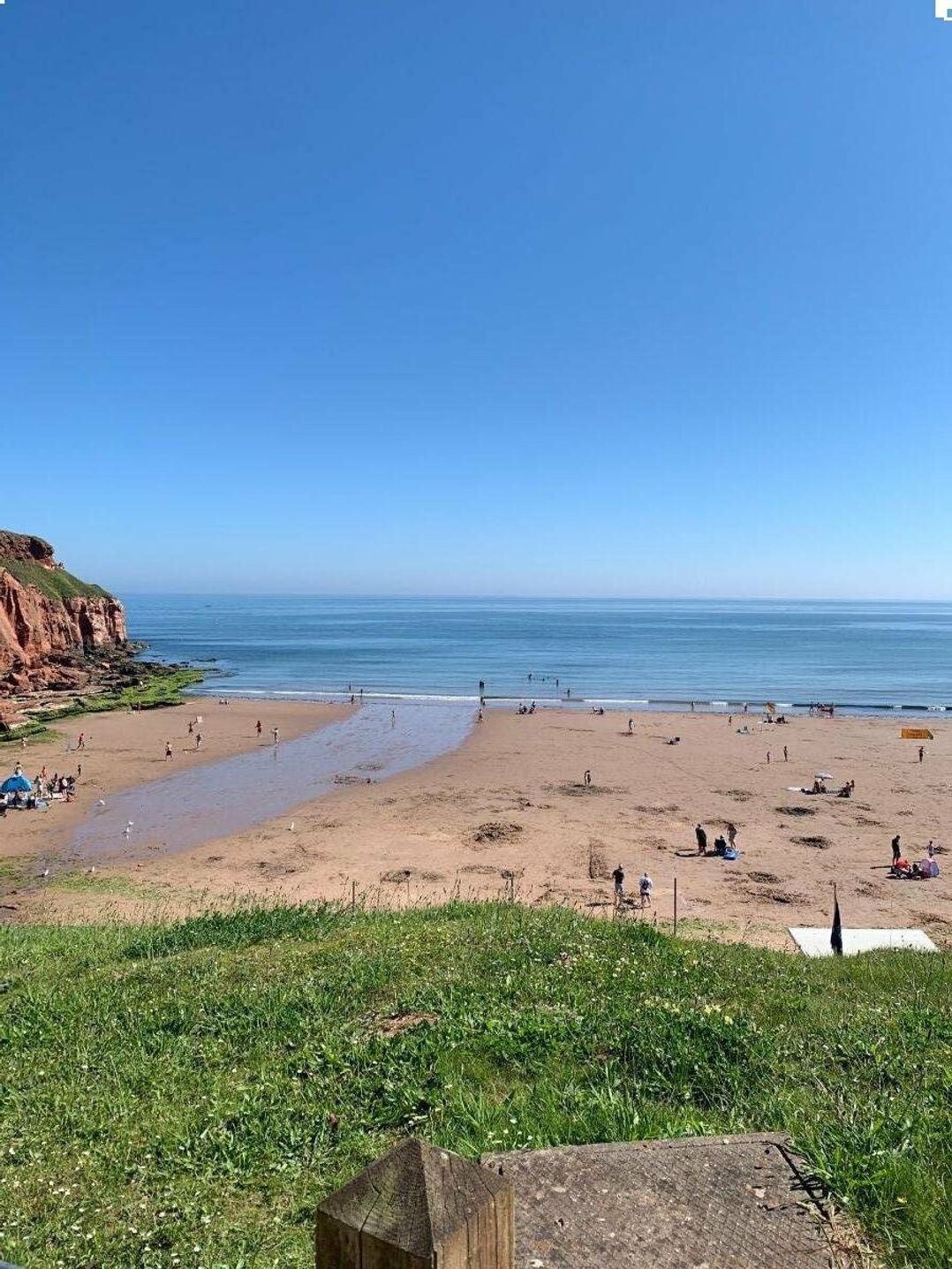 Devon Cliffs Holiday Park - Holiday Accommodation 14385