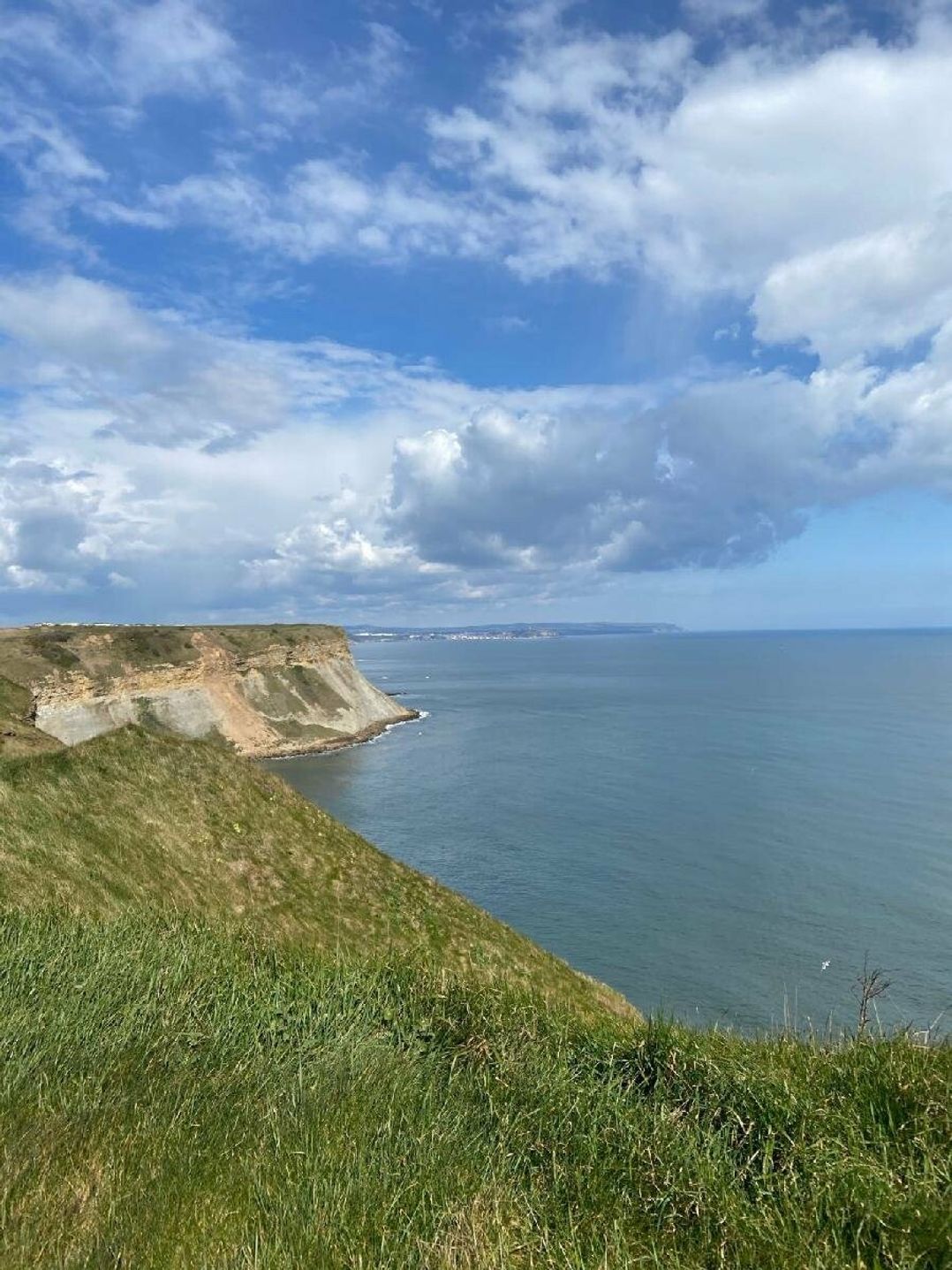 Blue Dolphin Holiday Park - Holiday Accommodation 14638