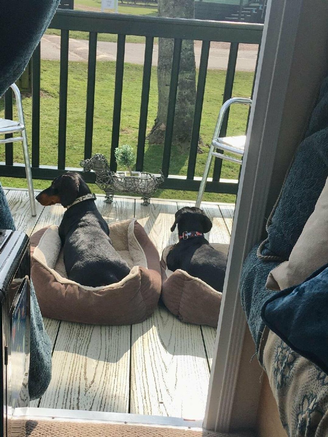 St Andrews Holiday Park - Holiday Accommodation 14768