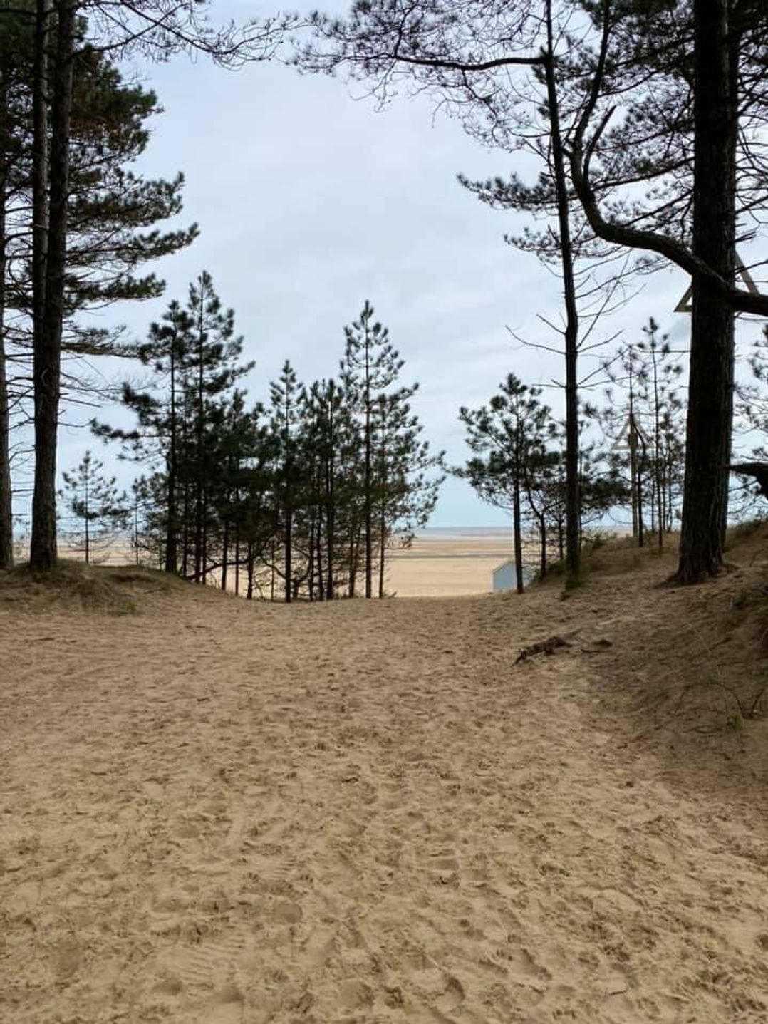 Pinewoods Holiday Park - Holiday Accommodation 14829