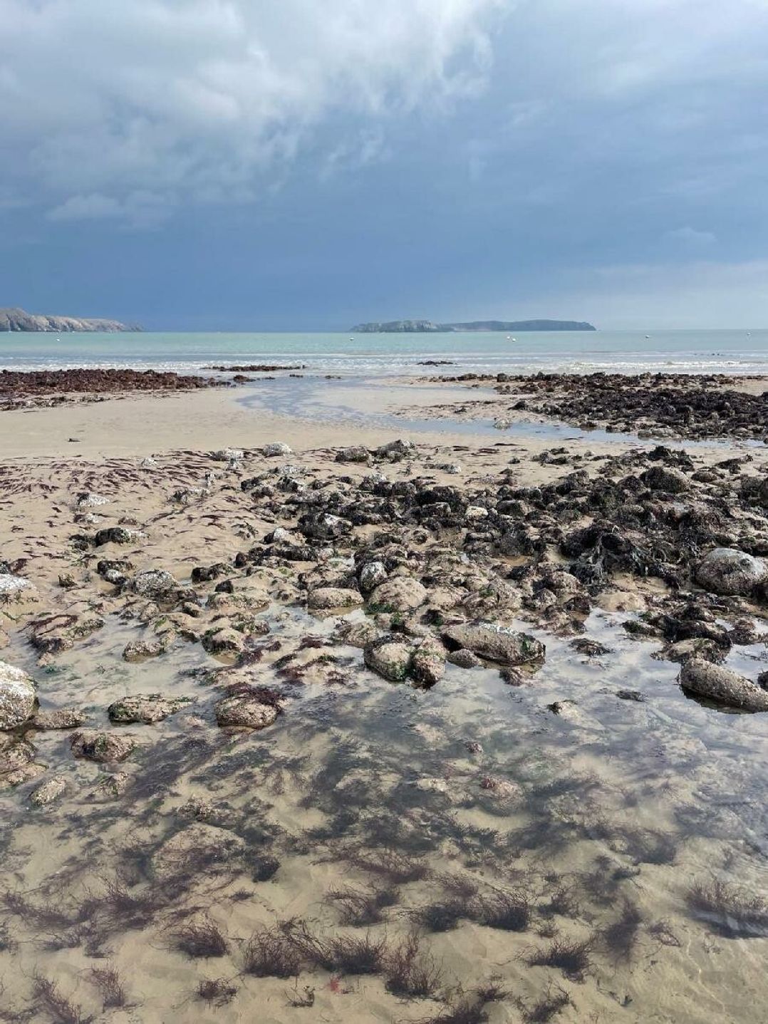 Lydstep Beach - Holiday Accommodation 14896