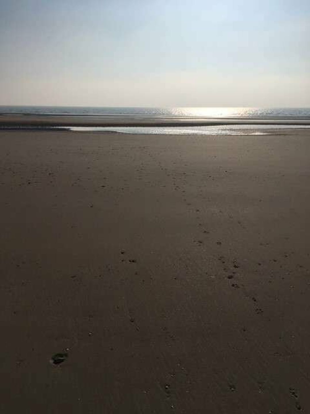 Marlie Holiday Park - Holiday Accommodation 15077