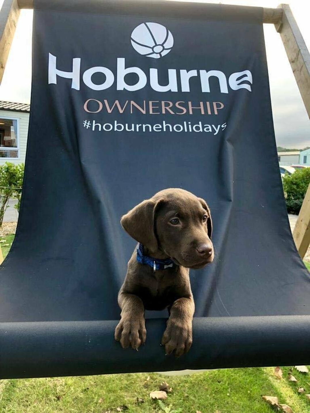 Hoburne Devon Bay - Holiday Accommodation 15338