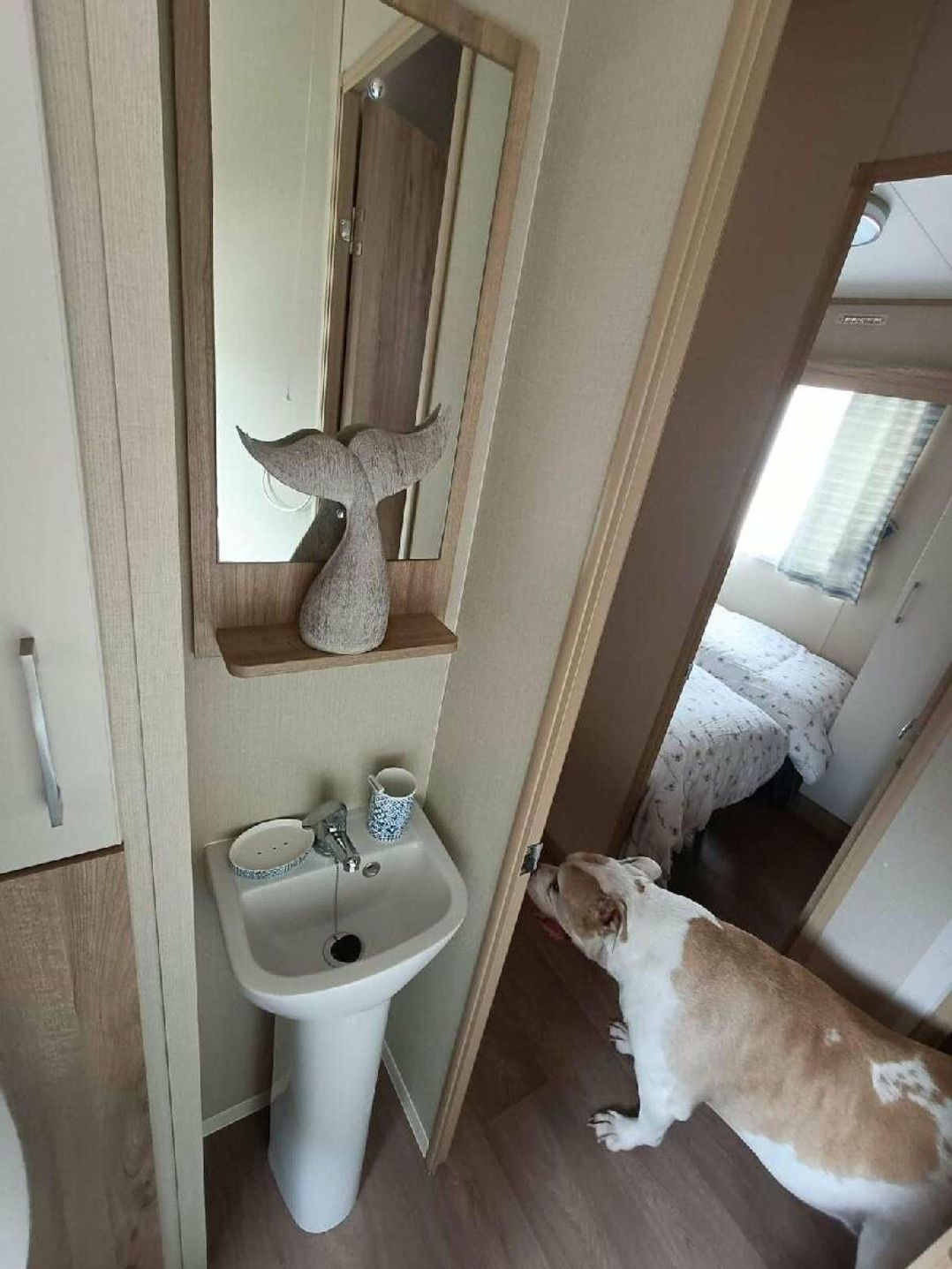 Golden Sands Kinmel Bay - Holiday Accommodation 15430