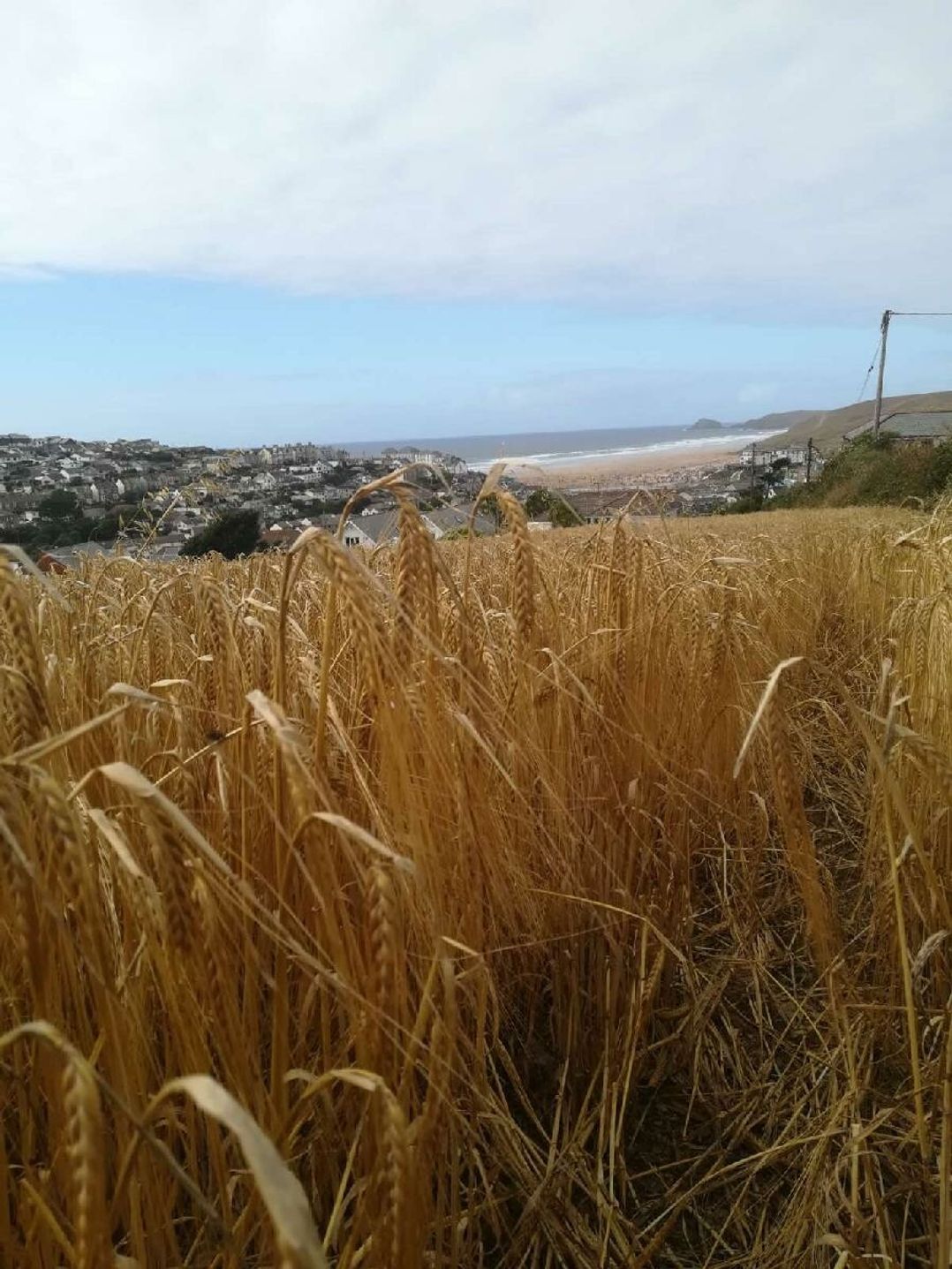 Liskey Hill Caravan Park - Holiday Accommodation 15435