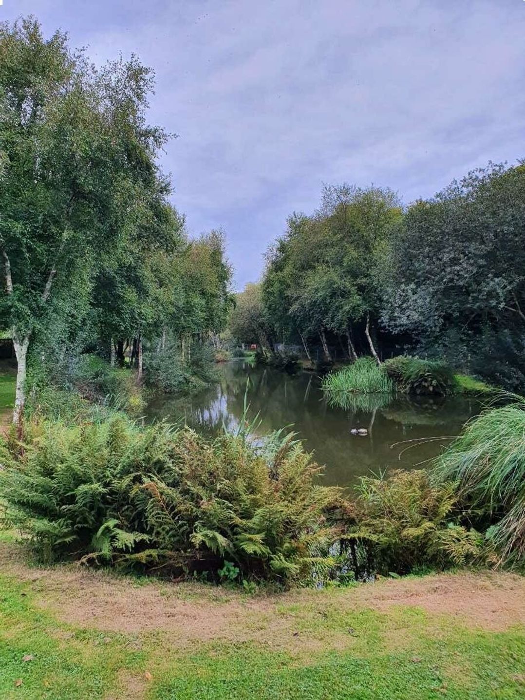 Meadow Lakes Holiday Park - Holiday Accommodation 15527