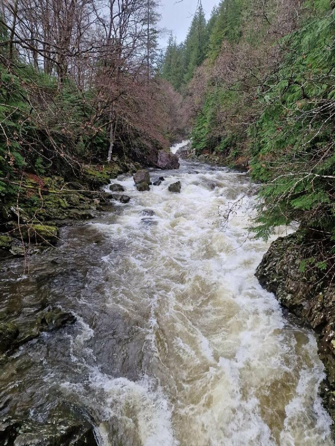 Greenacres Holiday Park - Holiday Accommodation 15761