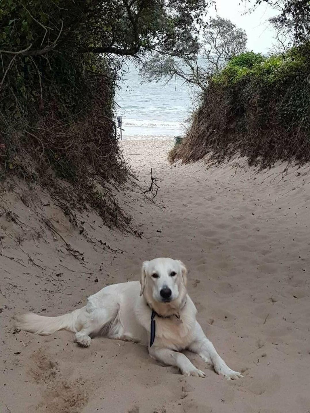 Kiln Park Holiday Park - Holiday Accommodation 15763