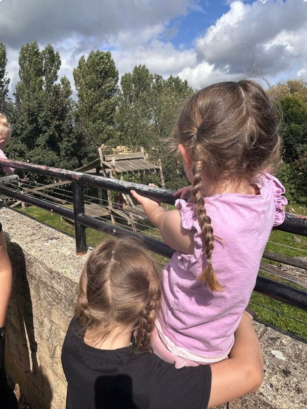 Flamingo Land Holiday Park - Holiday Accommodation 15826