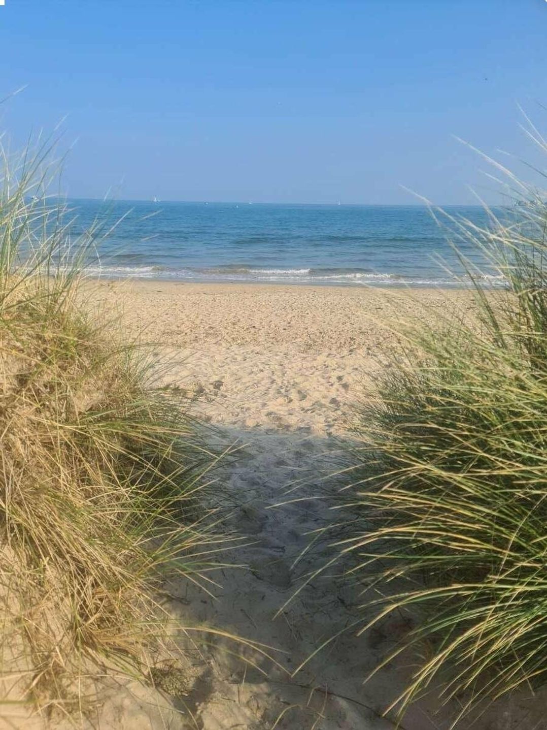 Rockley Park - Holiday Accommodation 15916