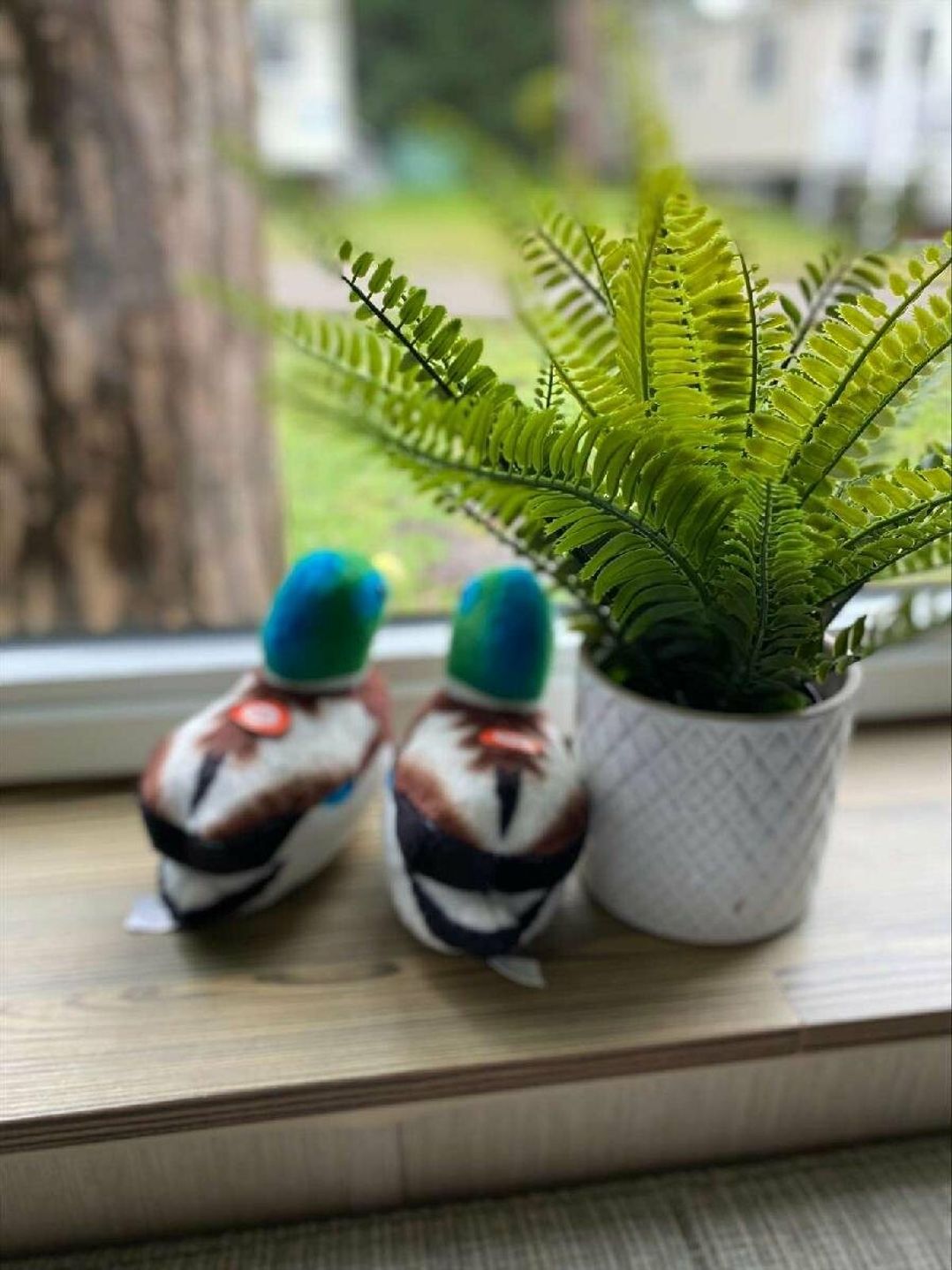 Wild Duck Holiday Park - Holiday Accommodation 16348