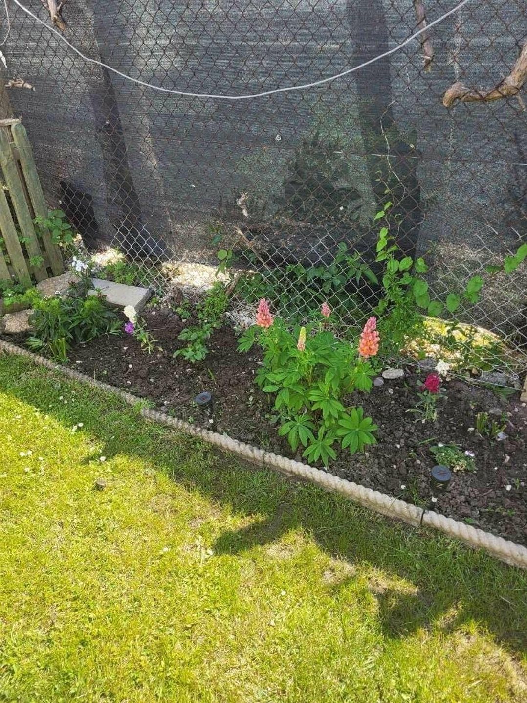 Unity Holiday Resort - Holiday Accommodation 16385