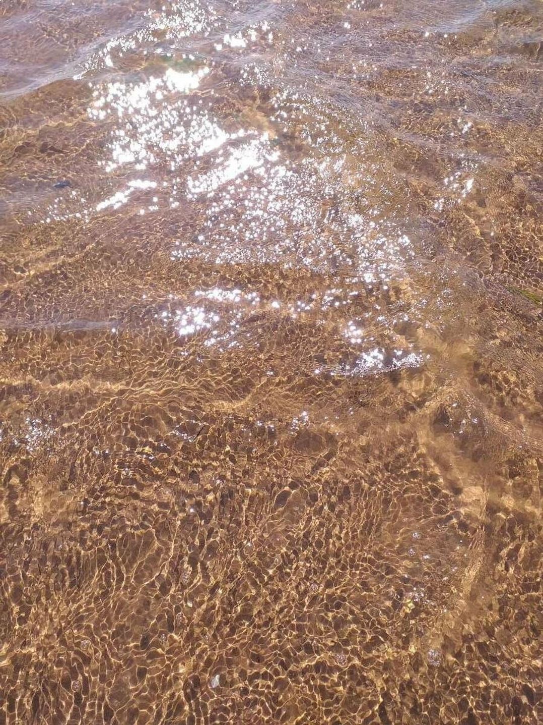 Dawlish Sands Holiday Park - Holiday Accommodation 16455