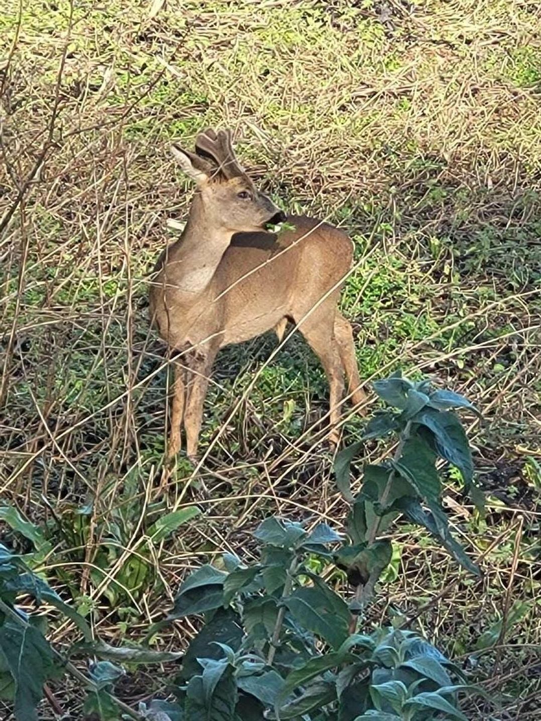 Waterside Bowleaze Cove Holiday Park - Holiday Accommodation 16550