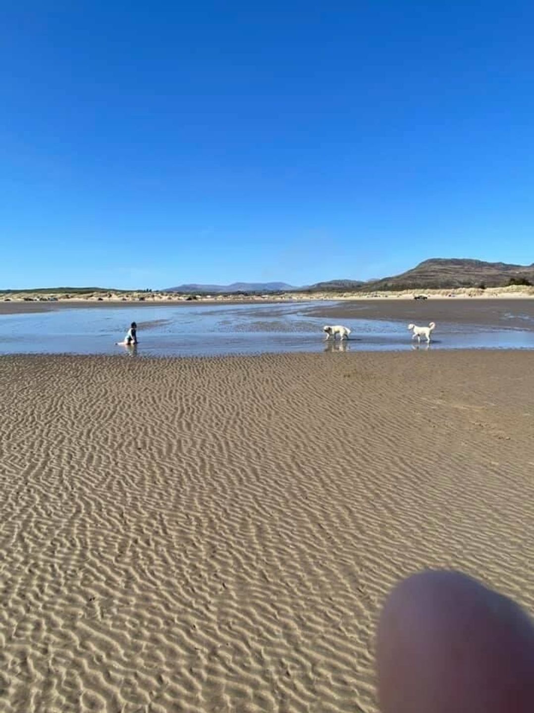 Greenacres Holiday Park - Holiday Accommodation 16594