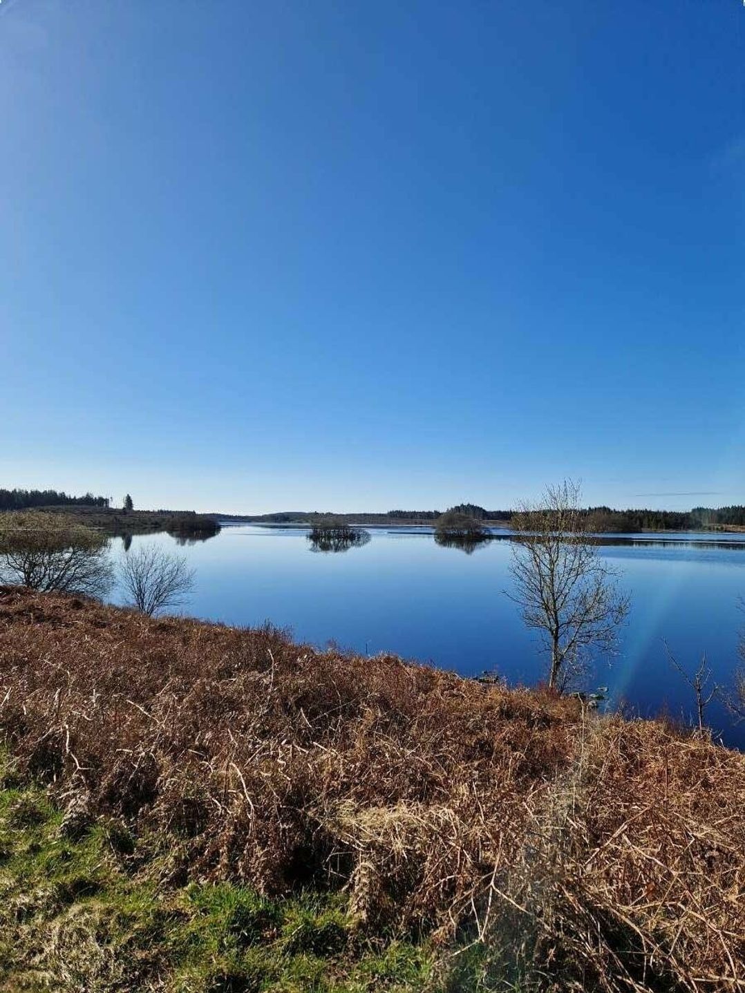 Three Lochs Holiday Park - Holiday Accommodation 16636