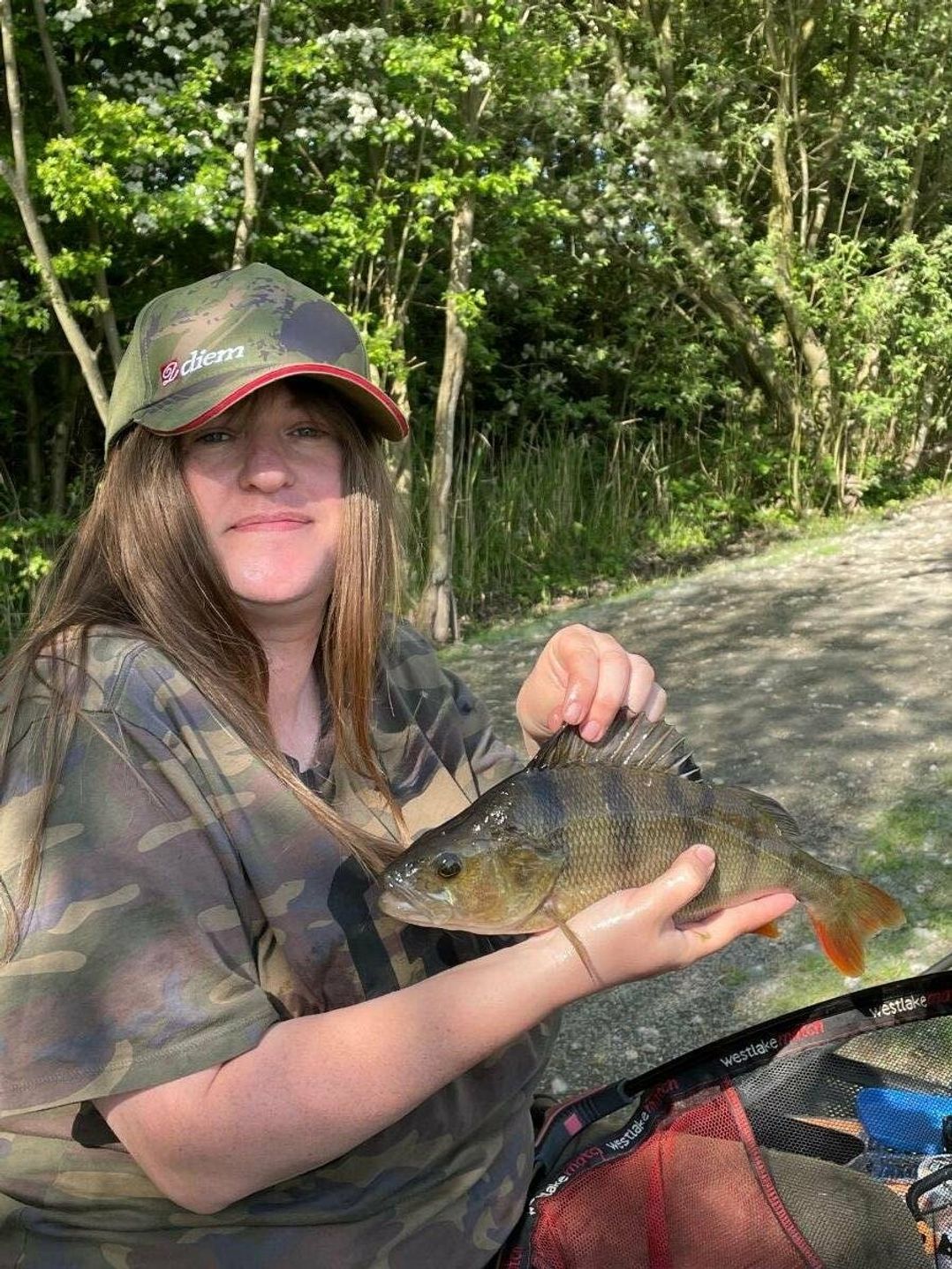 7 Lakes Country Park - Holiday Accommodation 17097