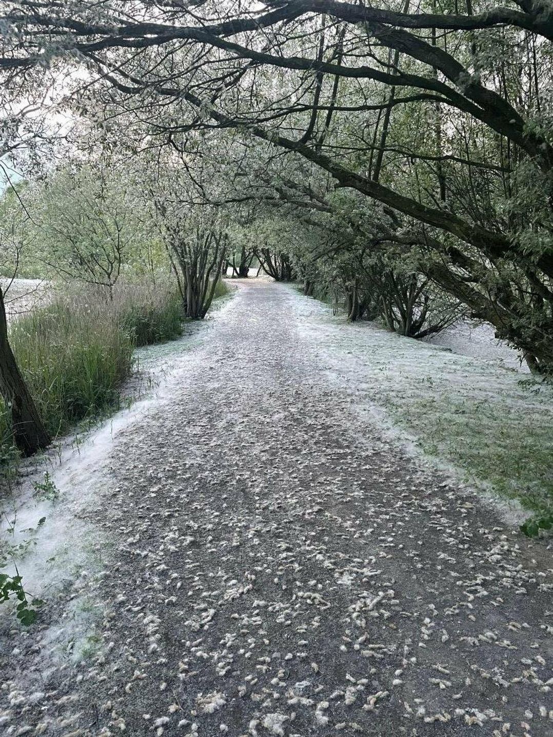 7 Lakes Country Park - Holiday Accommodation 17097