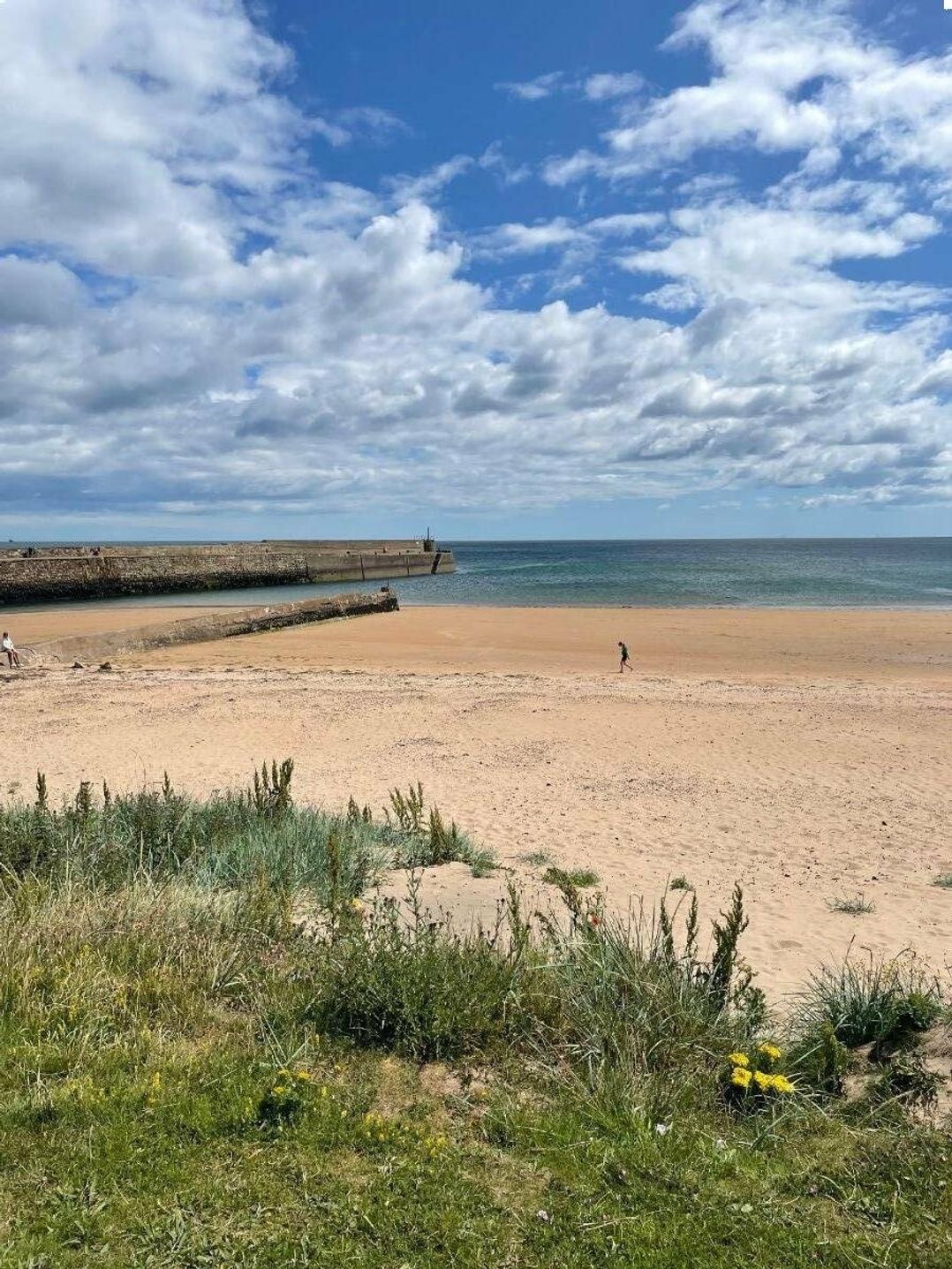 St Andrews Holiday Park - Holiday Accommodation 17136