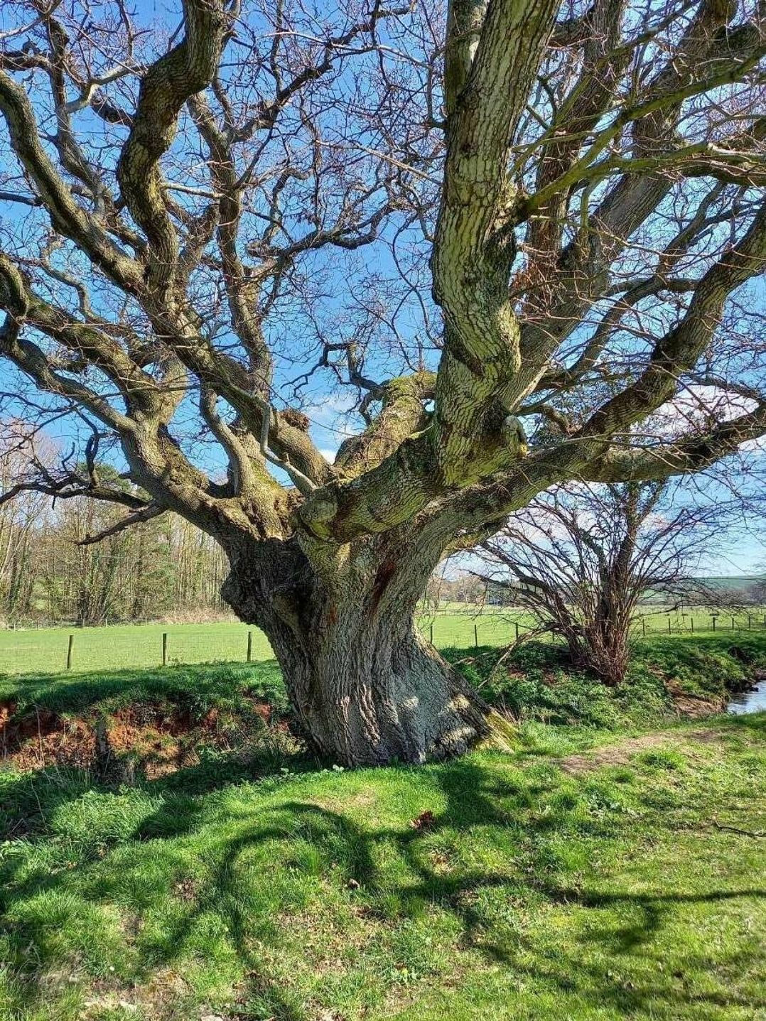 Hoburne Blue Anchor - Holiday Accommodation 17359