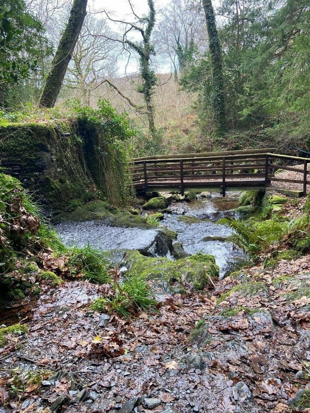 Aberdunant Hall Holiday Park - Holiday Accommodation 17422