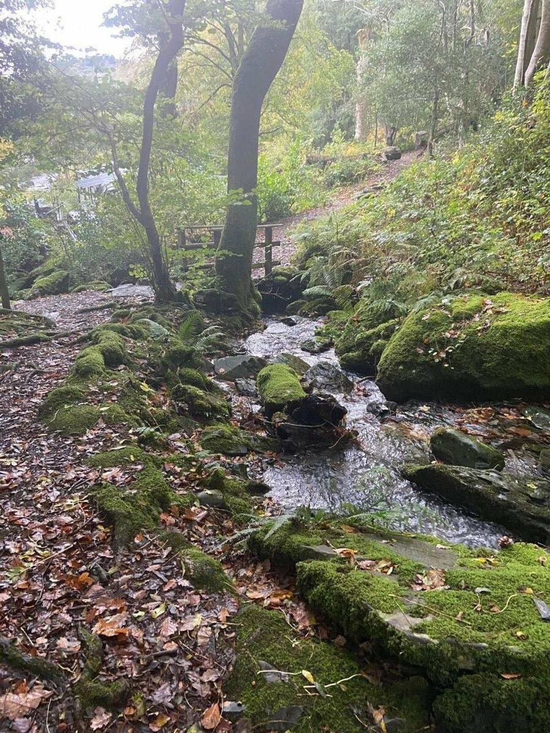 Aberdunant Hall Holiday Park - Holiday Accommodation 17422