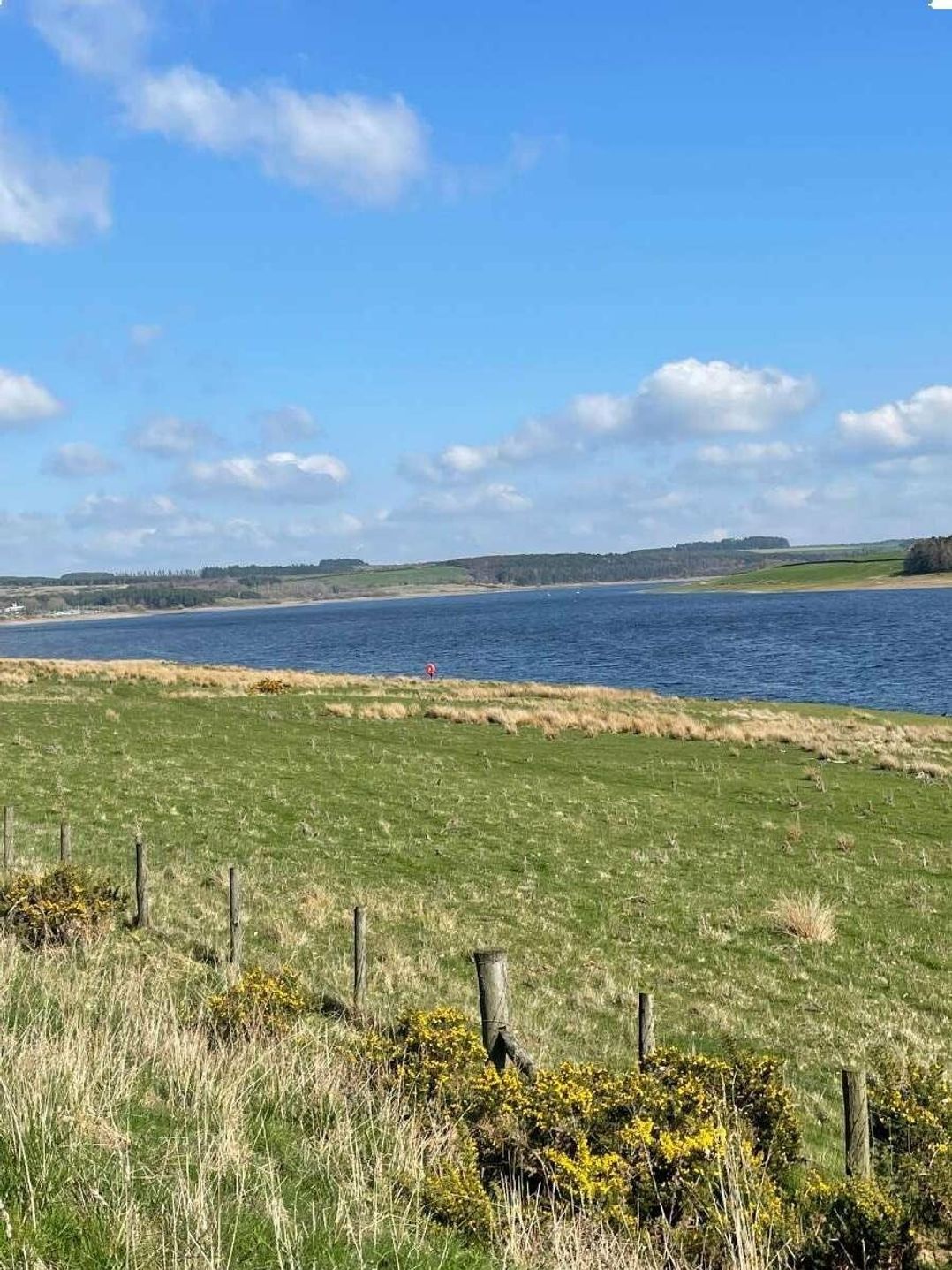 Springhouse Country Park - Holiday Accommodation 17609