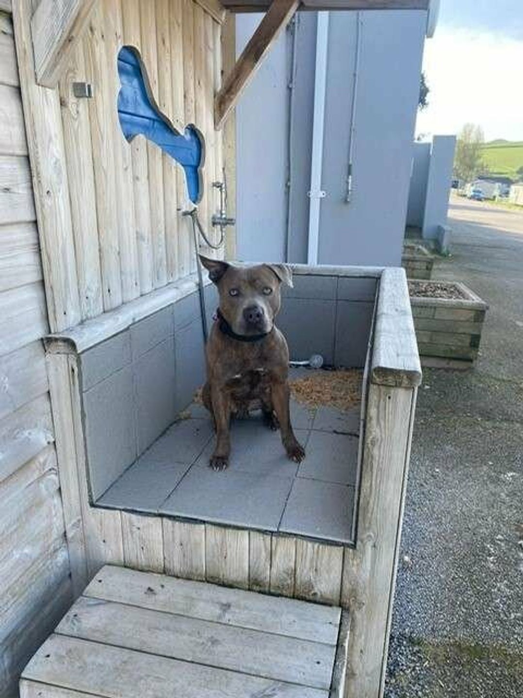 Newquay Bay Resort - Holiday Accommodation 17623