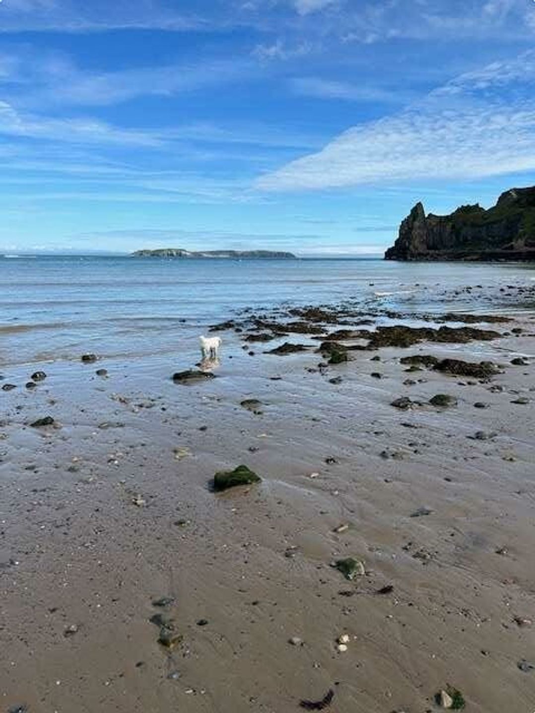 Lydstep Beach - Holiday Accommodation 17757