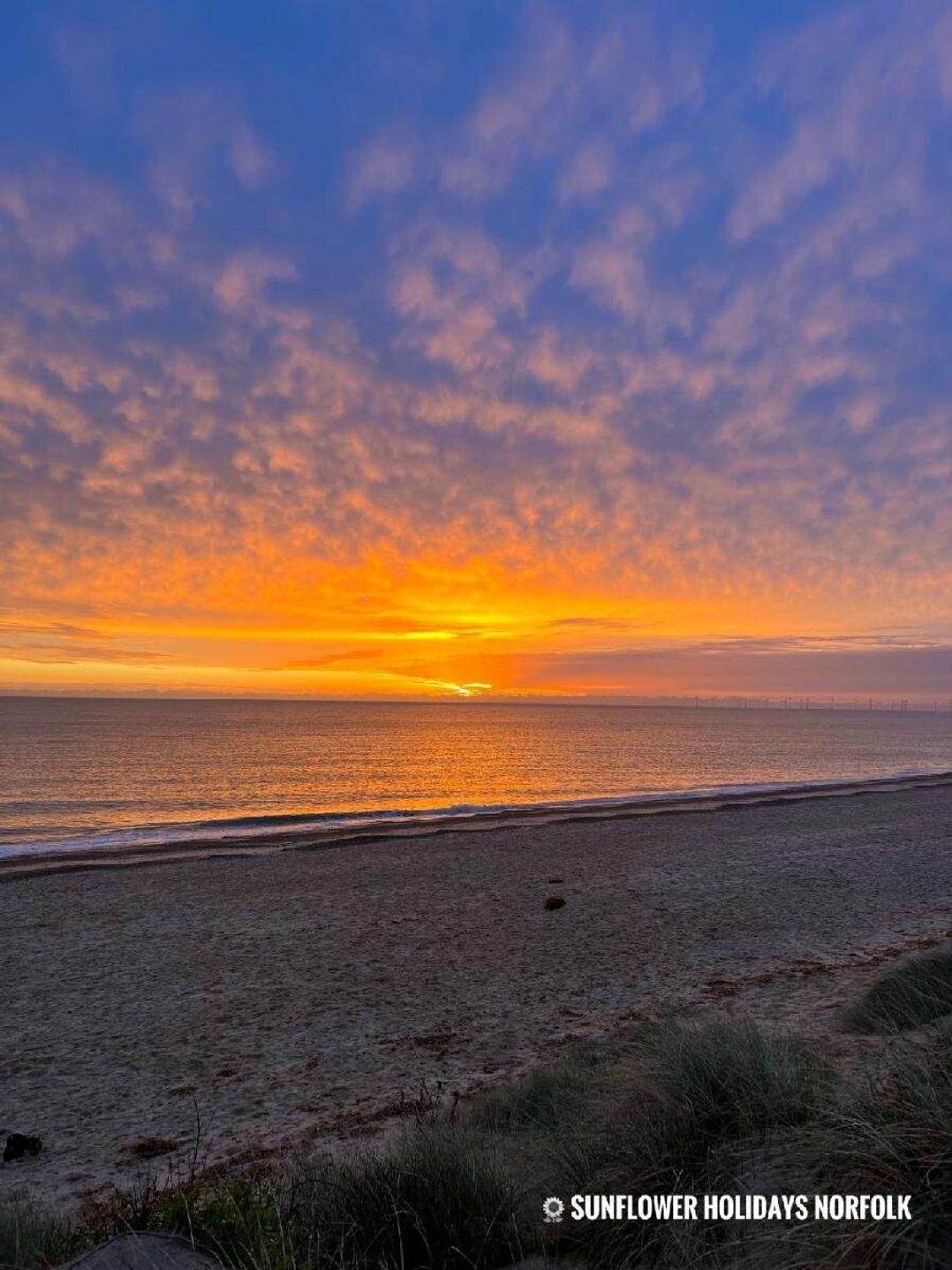 Sundowner Holiday Park - Holiday Accommodation 18091