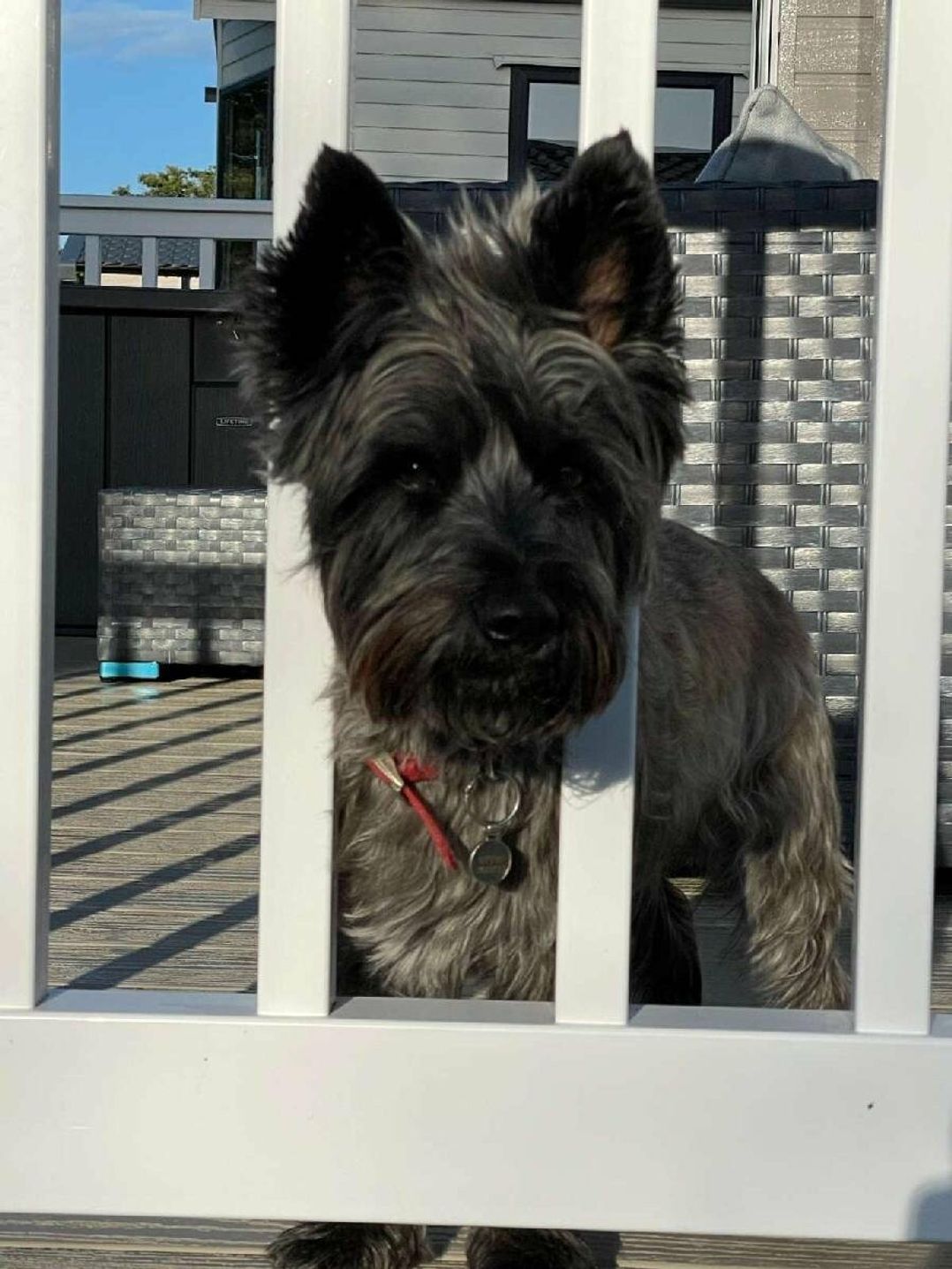 Bockenfield Country Park - Holiday Accommodation 18112