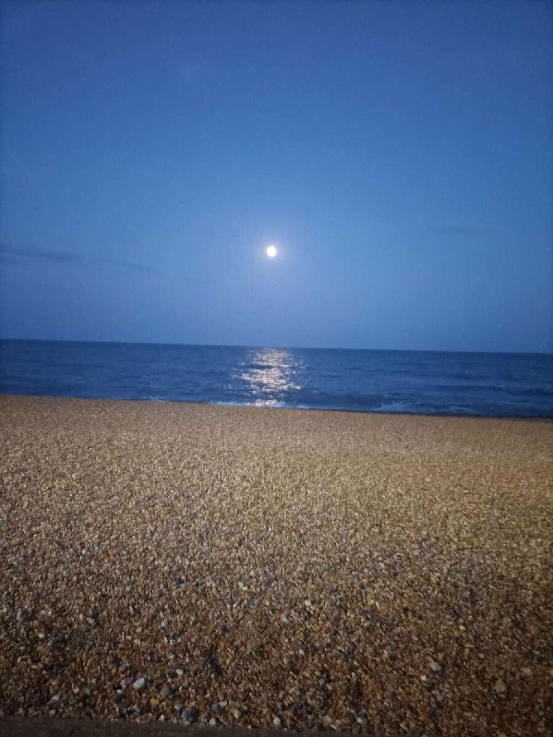 Combe Haven Holiday Park - Holiday Accommodation 18239