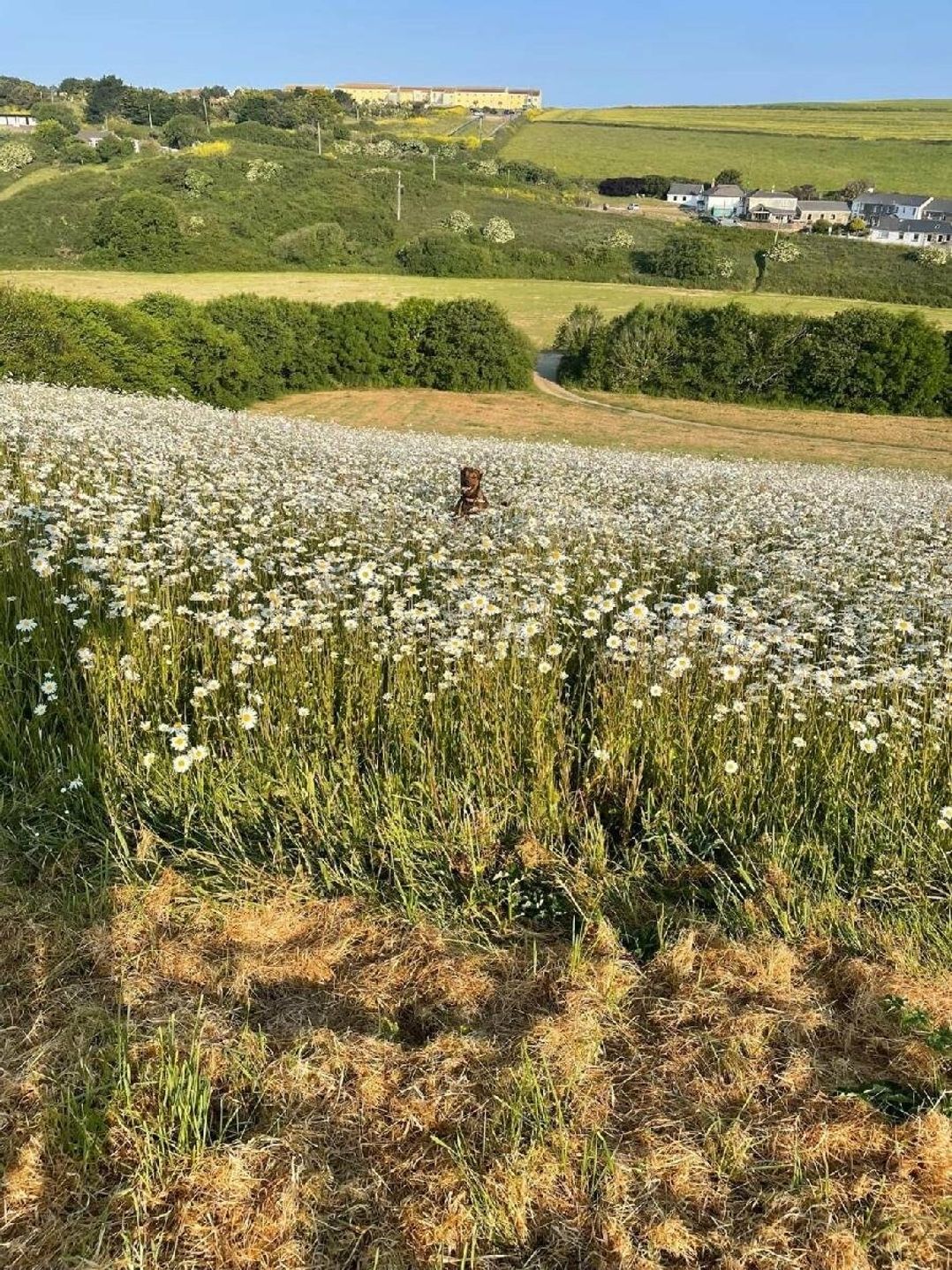 Newquay Bay Resort - Holiday Accommodation 18431