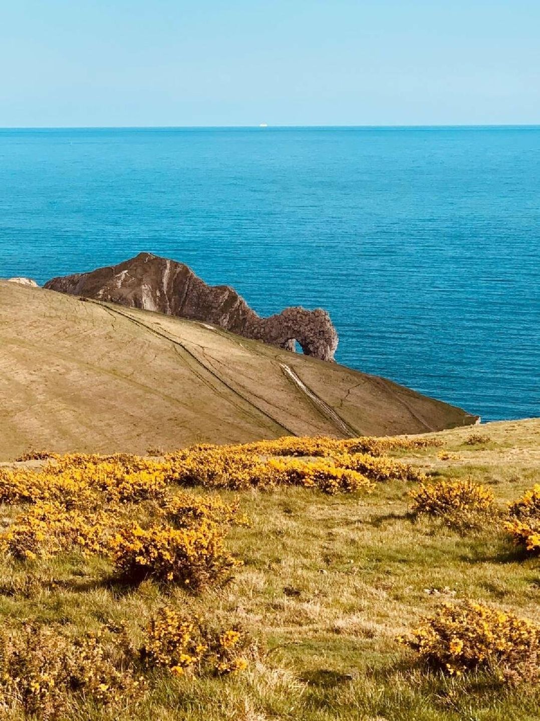 Durdle Door Holiday Park - Holiday Accommodation 18707