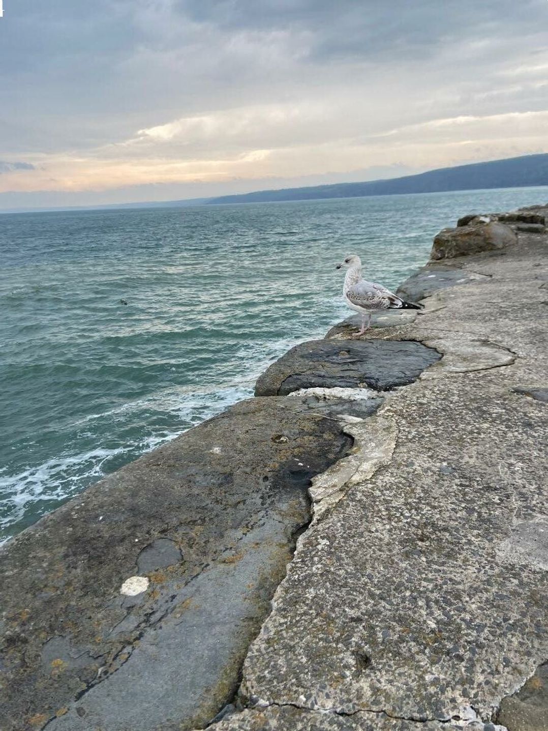 Quay West Holiday Park - Holiday Accommodation 18831