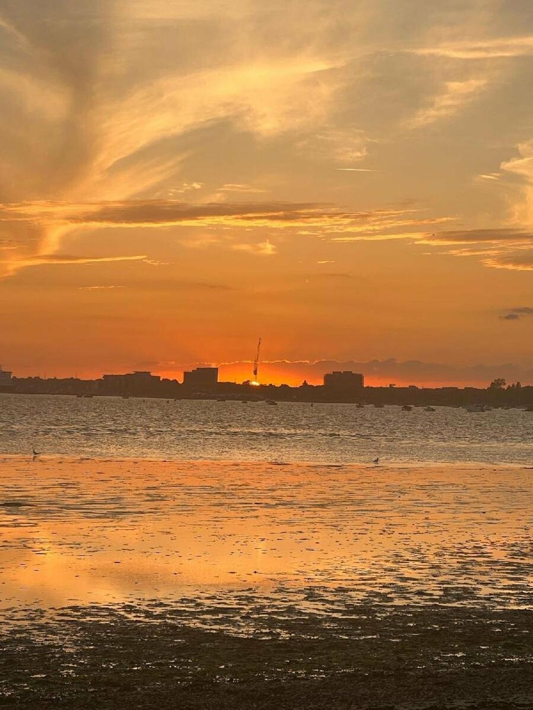 Rockley Park - Holiday Accommodation 18846